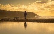 Phil Harbord - Walking The Dog